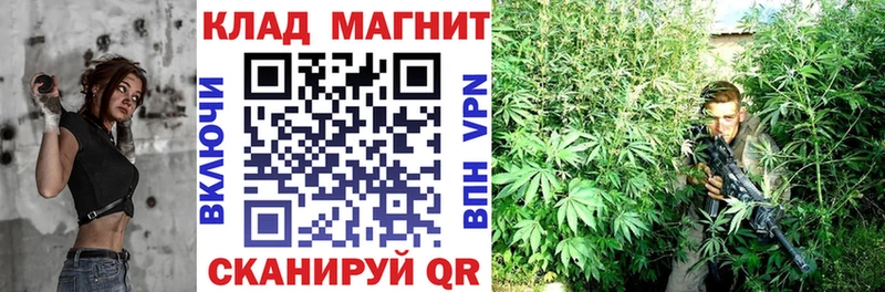 Виды наркоты Михайловск Бошки Шишки Alpha PVP COCAIN Гашиш Мефедрон