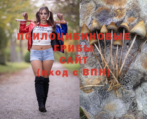 прущие крисы Алексин