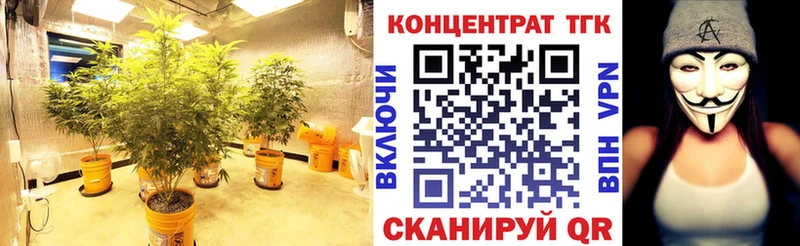 это состав  закладка  Михайловск  Дистиллят ТГК вейп 