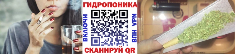 shop наркотические препараты MEGA зеркало Михайловск Конопля ГИДРОПОН